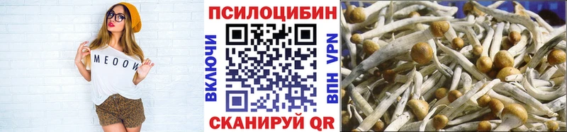 Купить  Новороссийск  Галлюциногенные грибы Psilocybe 